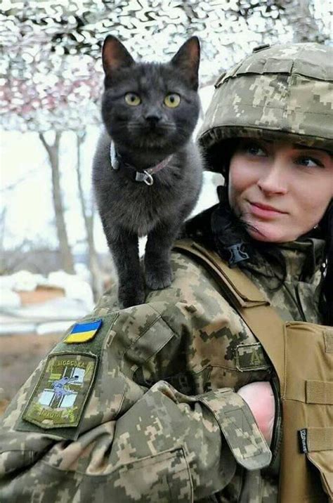 chat militar|Chats de MILITARES